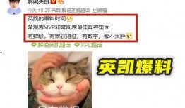 英凯最新爆料新闻,揭秘娱乐圈惊人内幕