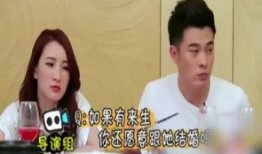 陈赫爆料视频在线观看,揭秘娱乐圈幕后真相